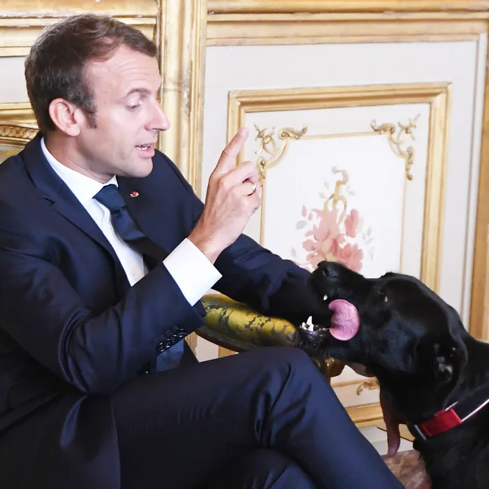 Emmanuel Macron hund
