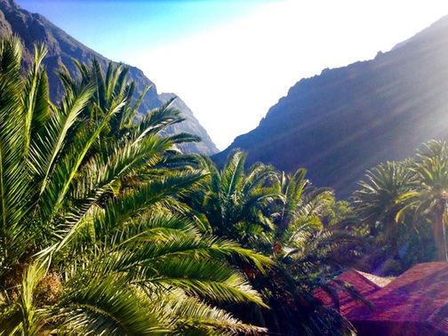 Thanks to those who bought the first CDs of The Mingus Suite in Tenerife