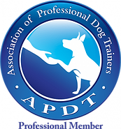 APDT_Prof_COLOR-281x300.png