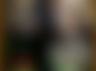 Willie - Our 1st Dog of Christmas