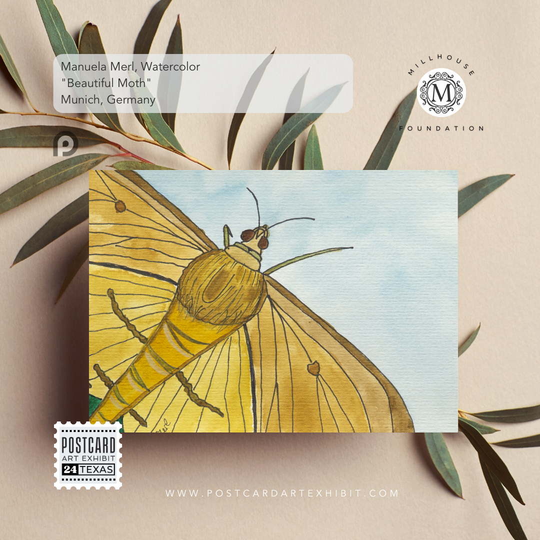 Manuela Merl, Watercolor - "Beautiful Moth" - Munich, Germany - Postcard Art Exhibit 2024