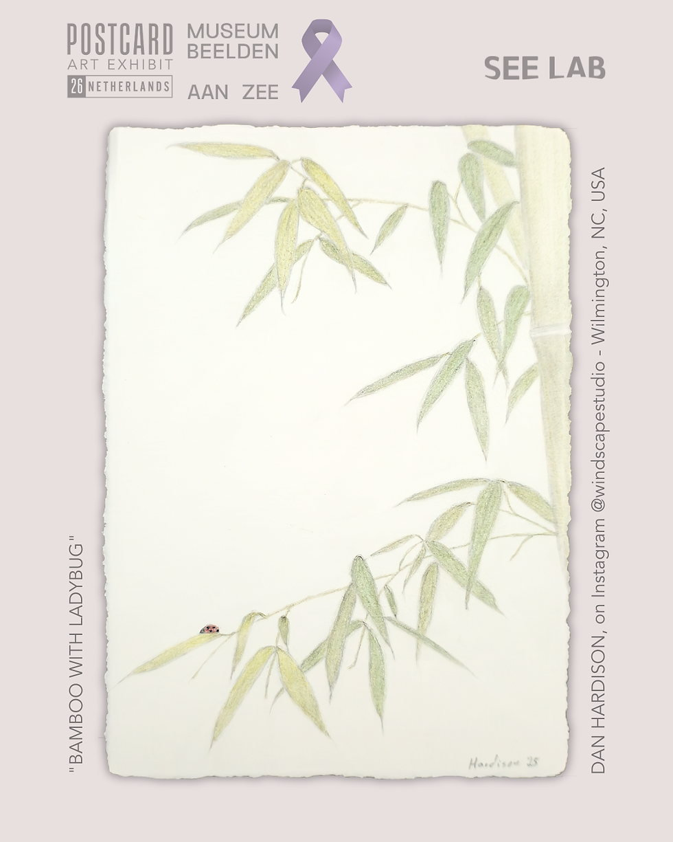 Thumbnail: Dan Hardison, "Bamboo with Ladybug" - Postcard Art