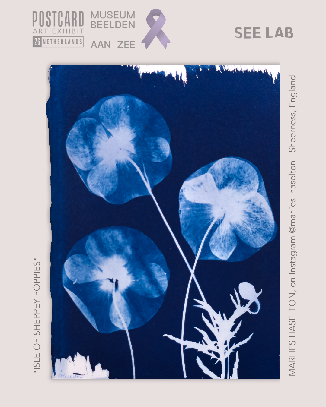 Marlies Haselton, "Isle of Sheppey Poppies" - Postcard Art
