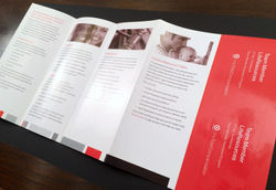 Compensation Brochure-open