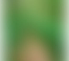 ID-marche : de nouvelles balades proposées par les D-marcheurs disponibles !