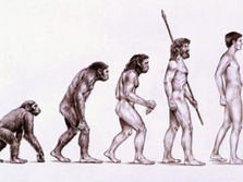 La marche... des origines préhistoriques...