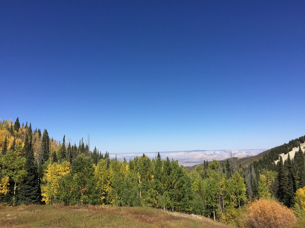 About Grand Mesa World s Largest Flat top Mountain