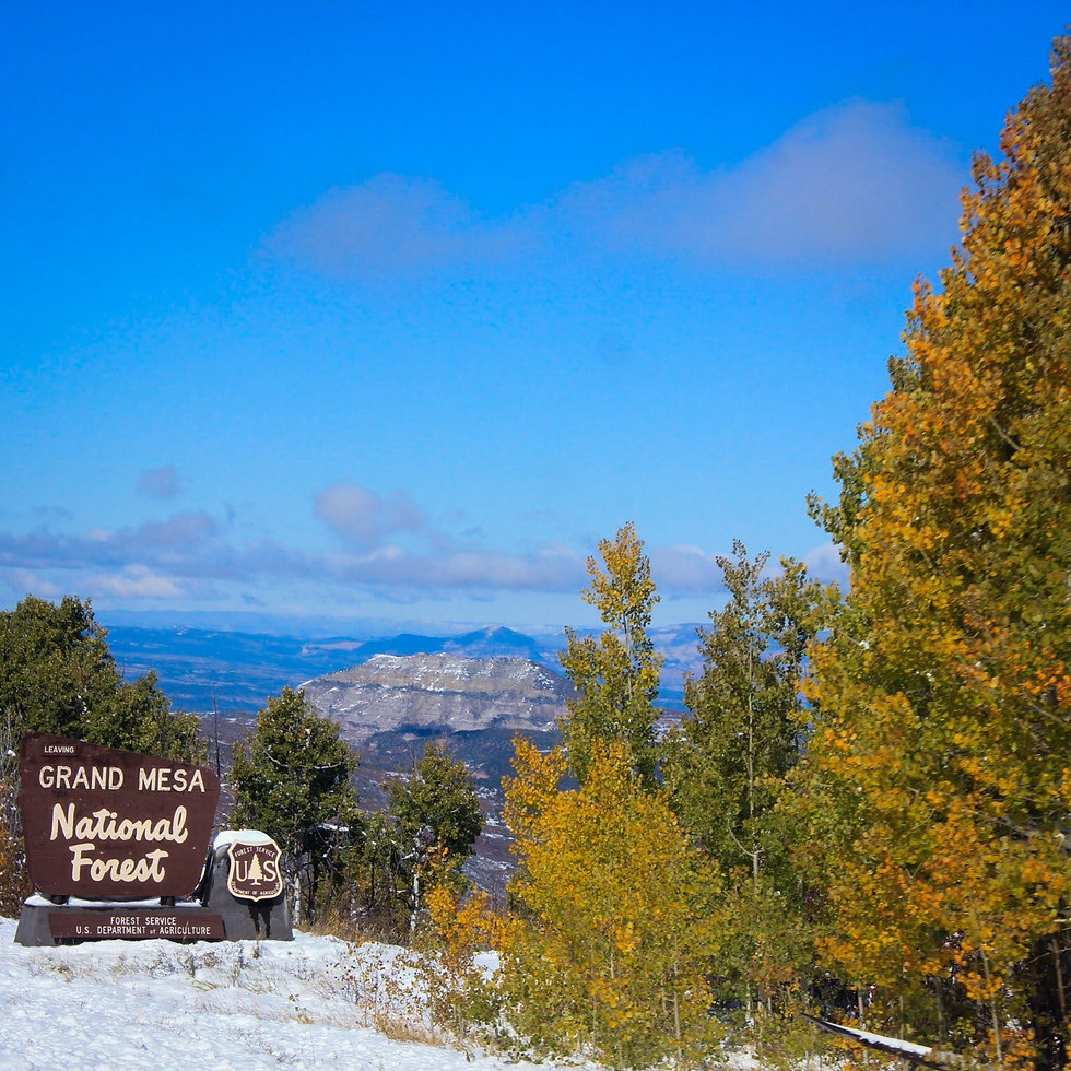About Grand Mesa World s Largest Flat top Mountain about-grand-mesa-world-s-largest-flat-top-mountain