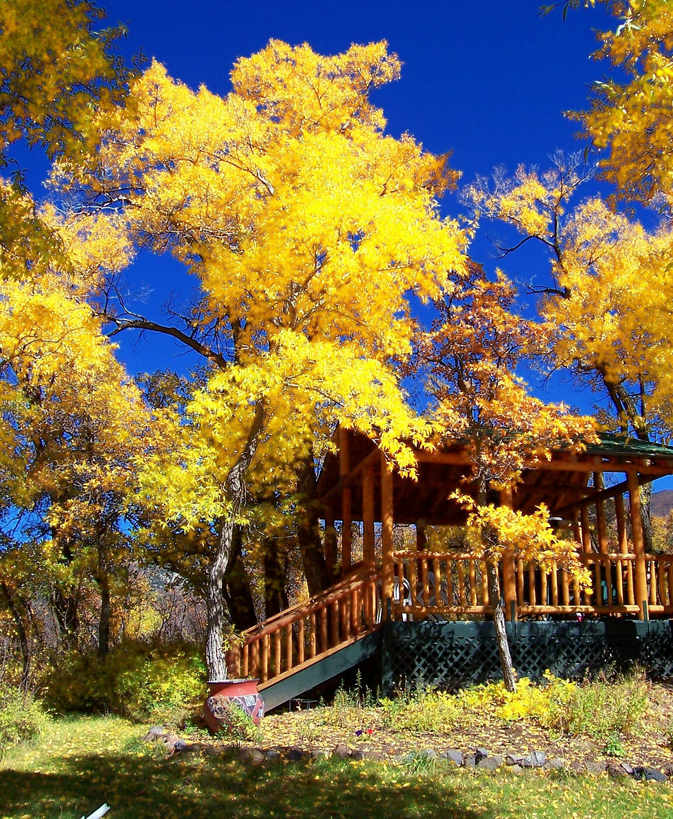 Creekside Pavilion in Gold
