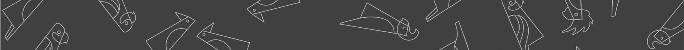 BIRD OUTLINES grey.png