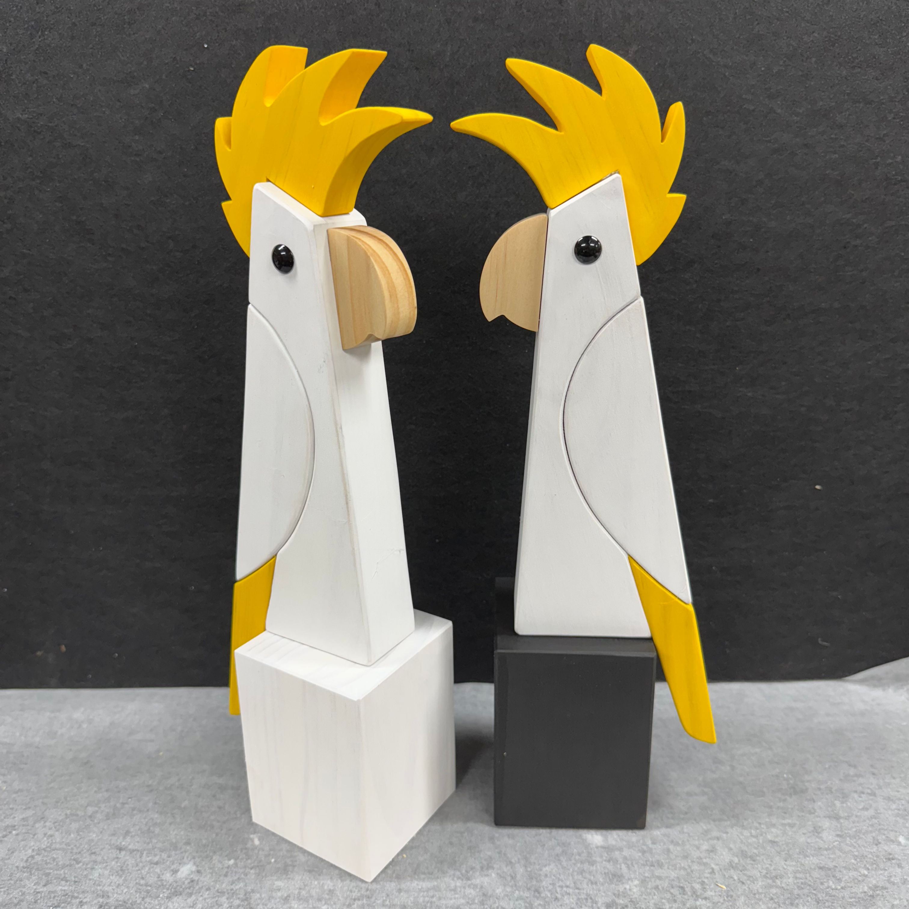 Yellow Crested Cocky