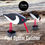 Thumbnail: Pied Oyster Catcher