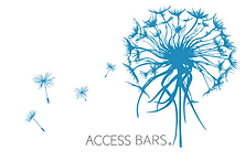 logo access bars.png