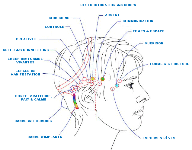 GROS PLANS TETE 32 POINTS.gif