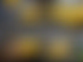 Polyurethane Conveyor Roller manufacturers trusted by industries