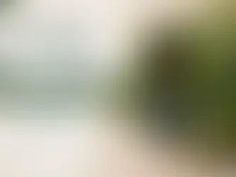 Ardıç Uçucu Yağı ile Cilt Bakımı Rehberi