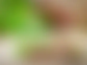 Doğanın Mucizesi: Antep Fıstığının Vücuda 20 Harika Etkisi