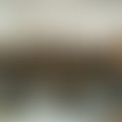 Therapie mit Herz: Ergotherapie Gottschalk eröffnet dritten Standort in Celle