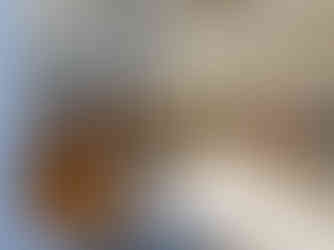 Schuh in Schuhgeschäft