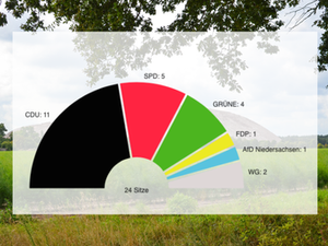 Kommunalwahl: Diese Parteien haben es in die Orts- und Gemeinderäte im Kreis Celle geschafft