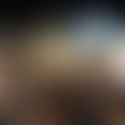 Celler Weihnachtsmarkt mit Ständen, Weihnachtsbaum und Beleuchtung.