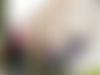 Stadtführungen starten wieder in Celle: Unterwegs mit mobilen VR-Brillen