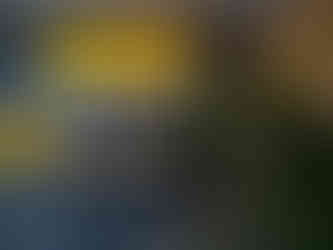 HUK Coburg Filiale Celle von innen – Wartebereich