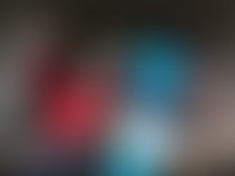 Erfolgreiche Fotoausstellung in Celle: 700 Euro Spende für Celler Klinik Clowns