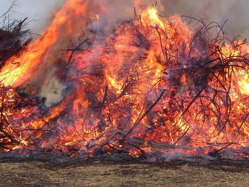 Nach Unglück beim Osterfeuer in Beckedorf: 22-Jährige aus Kreis Celle verstorben