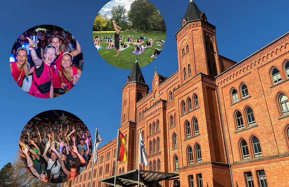 Rathaus Celle