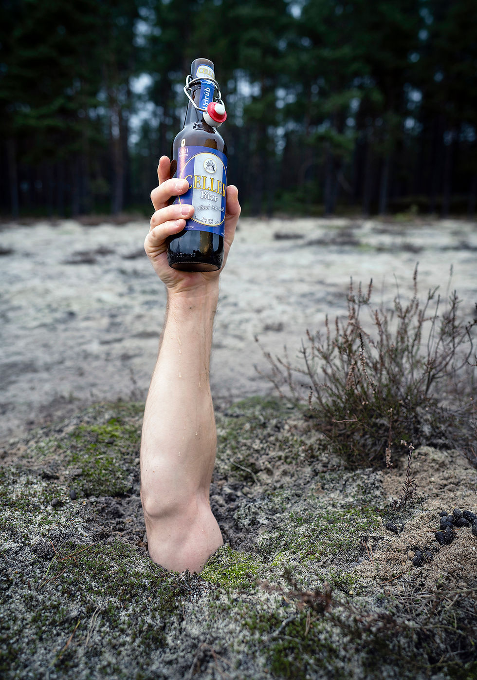 arm hält Celler Bier aus Heide