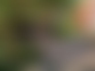  Dorfflohmarkt Eldingen am Wochenende