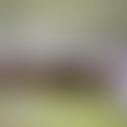 Freigabe Städtische Sporthallen