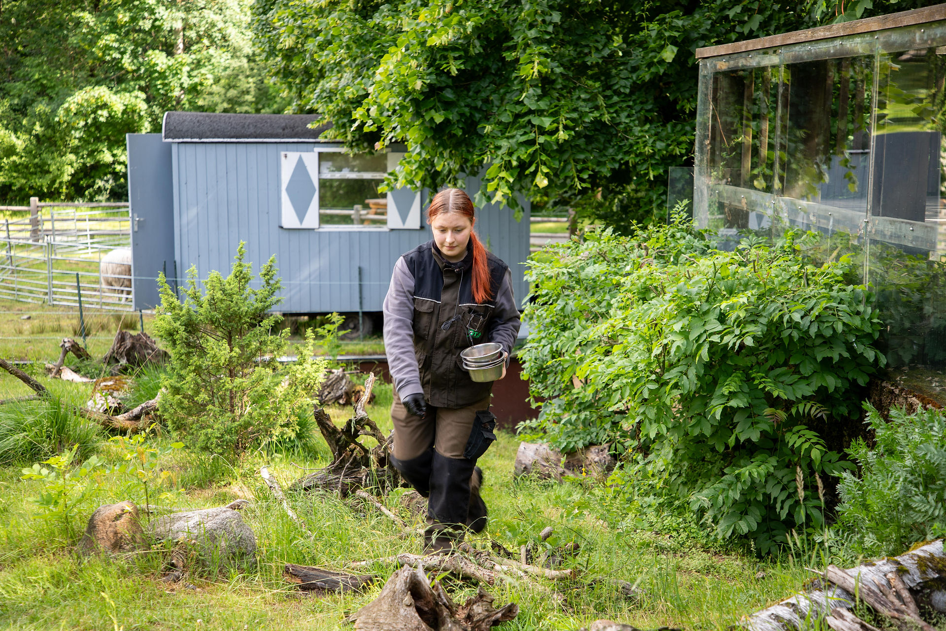 Dreimal täglich werden alle Tiere gefüttert.