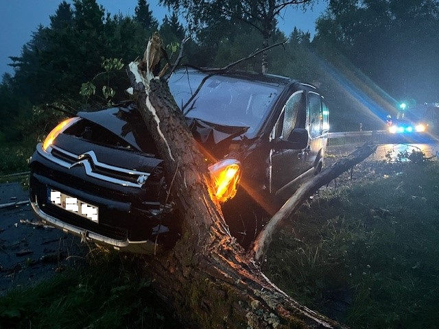 Baum auf Fahrbahn