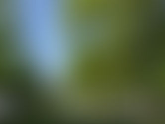 6. und 7. September: Herbstlicher Markt für Kunst, Handwerk und Design in Celle