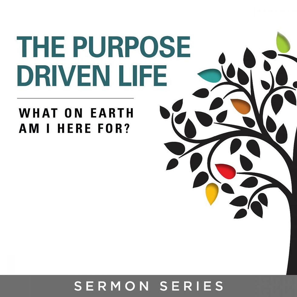 Purpose Driven Life