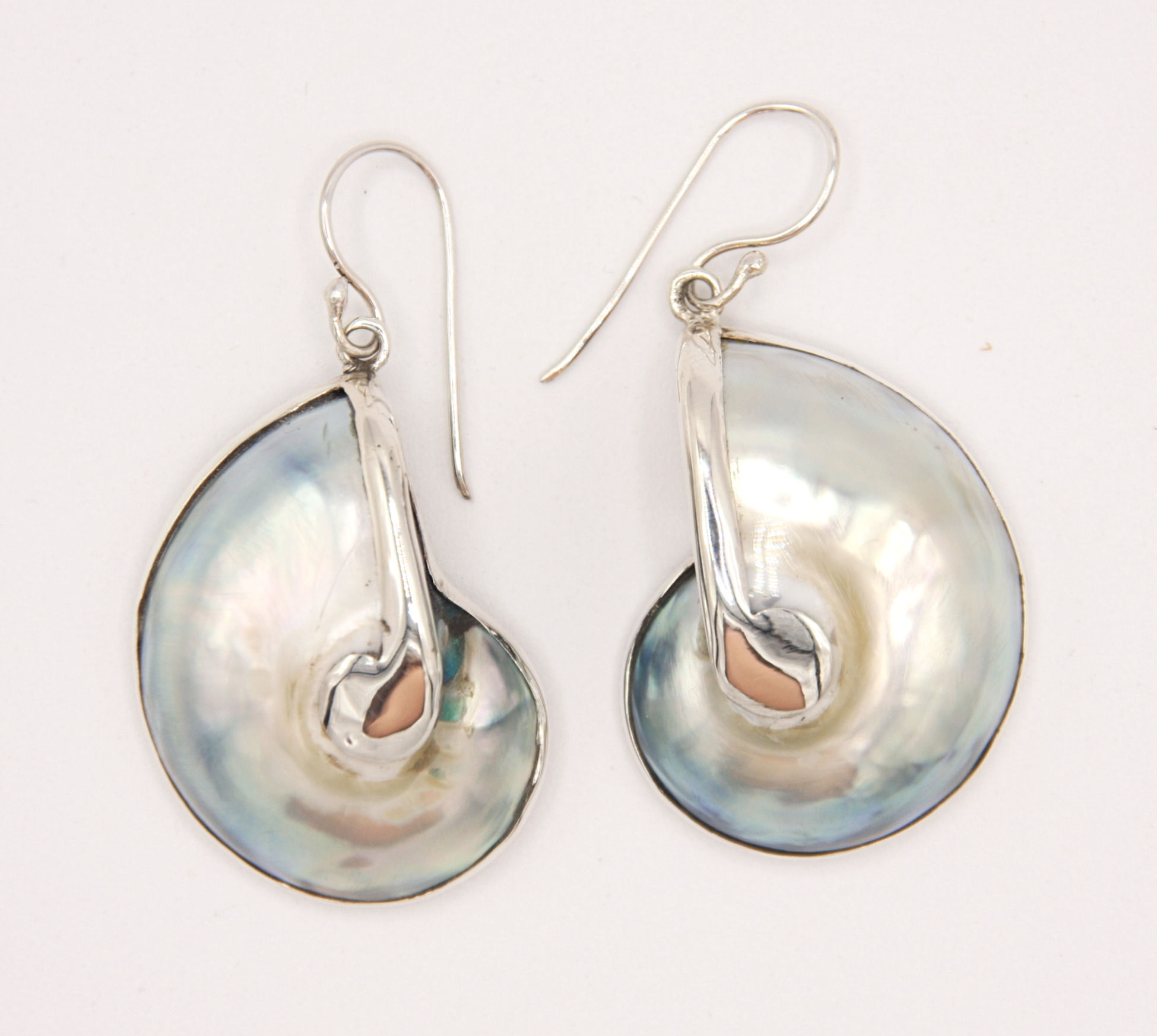 Nautilus Muschel Ohrringe