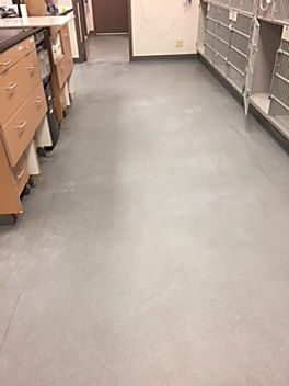 commercial floor restoration service las vegas, nevada