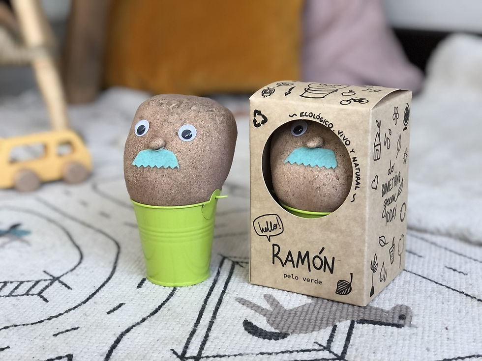 Miniatura: Germinador Ramón