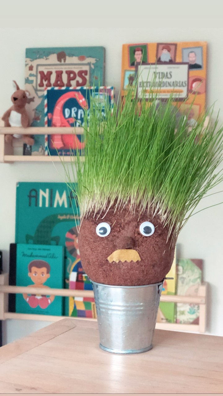 Miniatura: Germinador Ramón