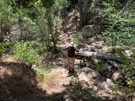 on the trail