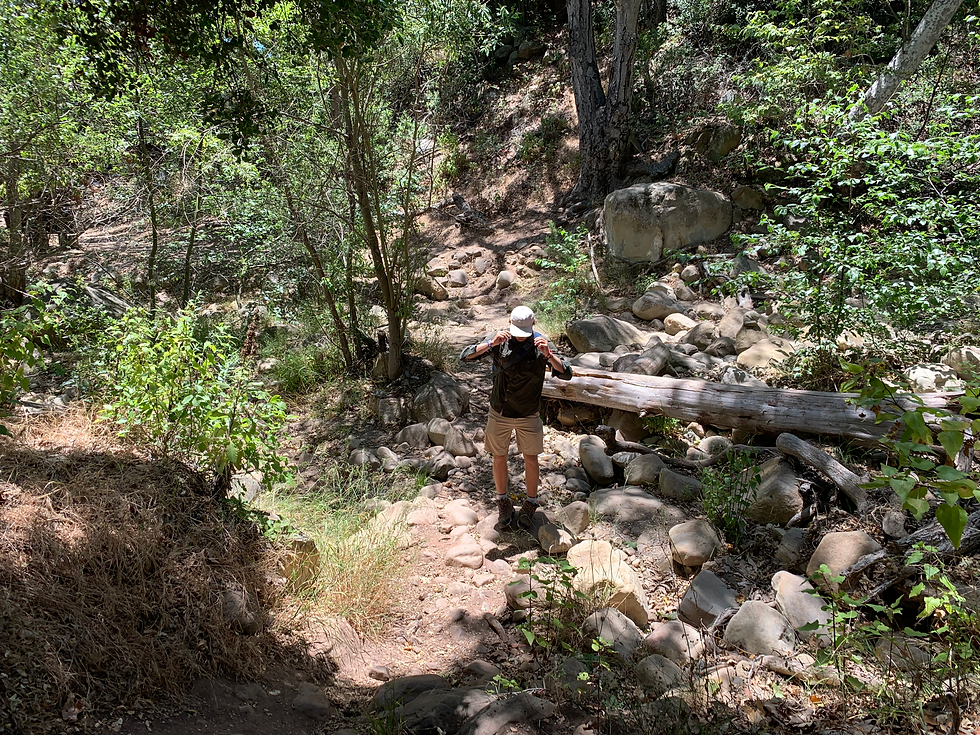 on the trail