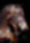1_20240608_105645_0000.png