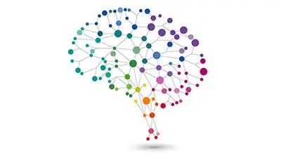 brain-illustration-AS_134931825_Anita-Ponne-400x225-1.webp