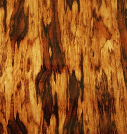 woodgrain 201-use light or dark tan basecoat.jpg