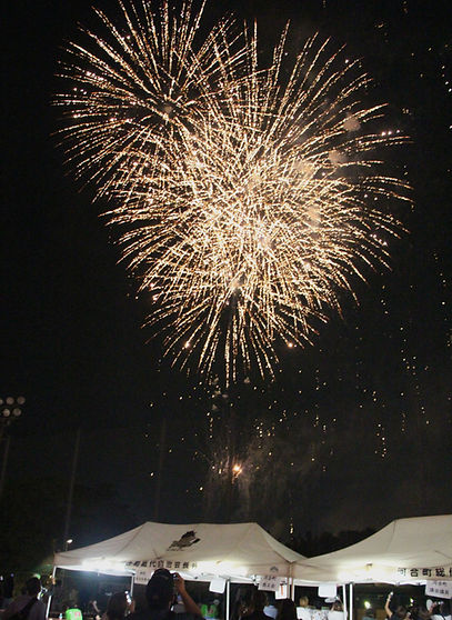IMG_5809_edited_edited_edited.jpg
