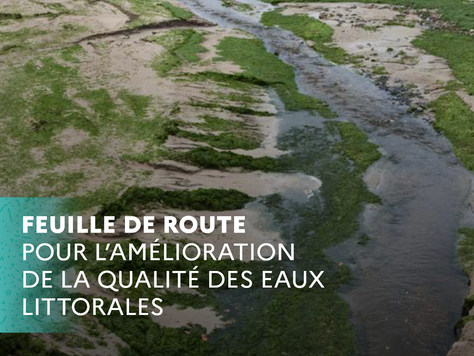 Qualité des eaux littorales : l’Etat dévoile une feuille de route nationale