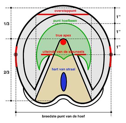 PastedGraphic-6(2).png