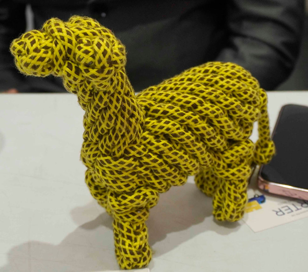Many youngsters are starting startups in the Pet Industry with innovative products and services